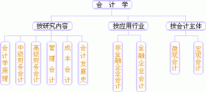 会计学的产生背景及其发展